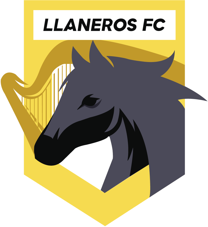 Llaneros FC
