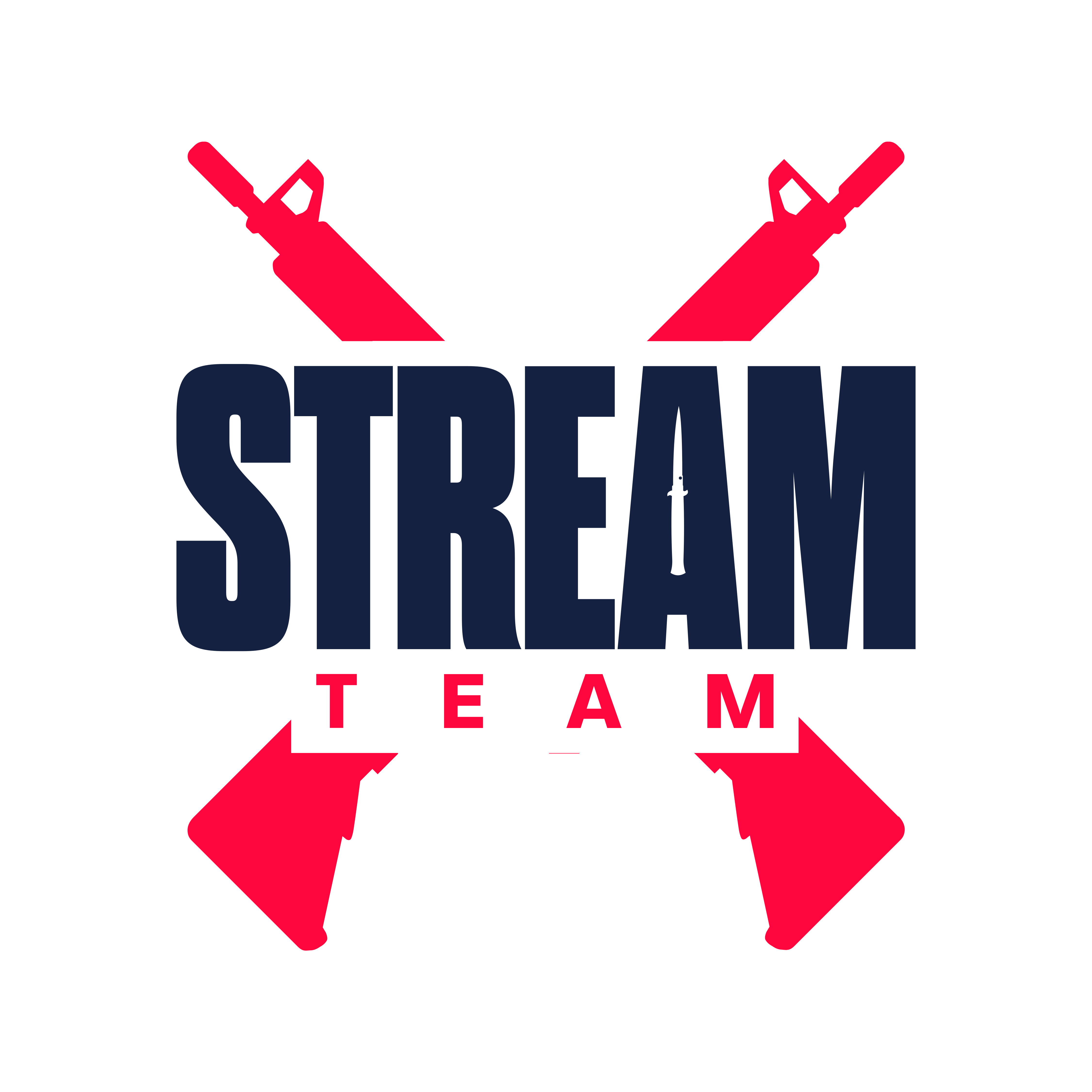 STREAM-TEAM