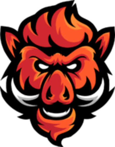 Boars Gaming
