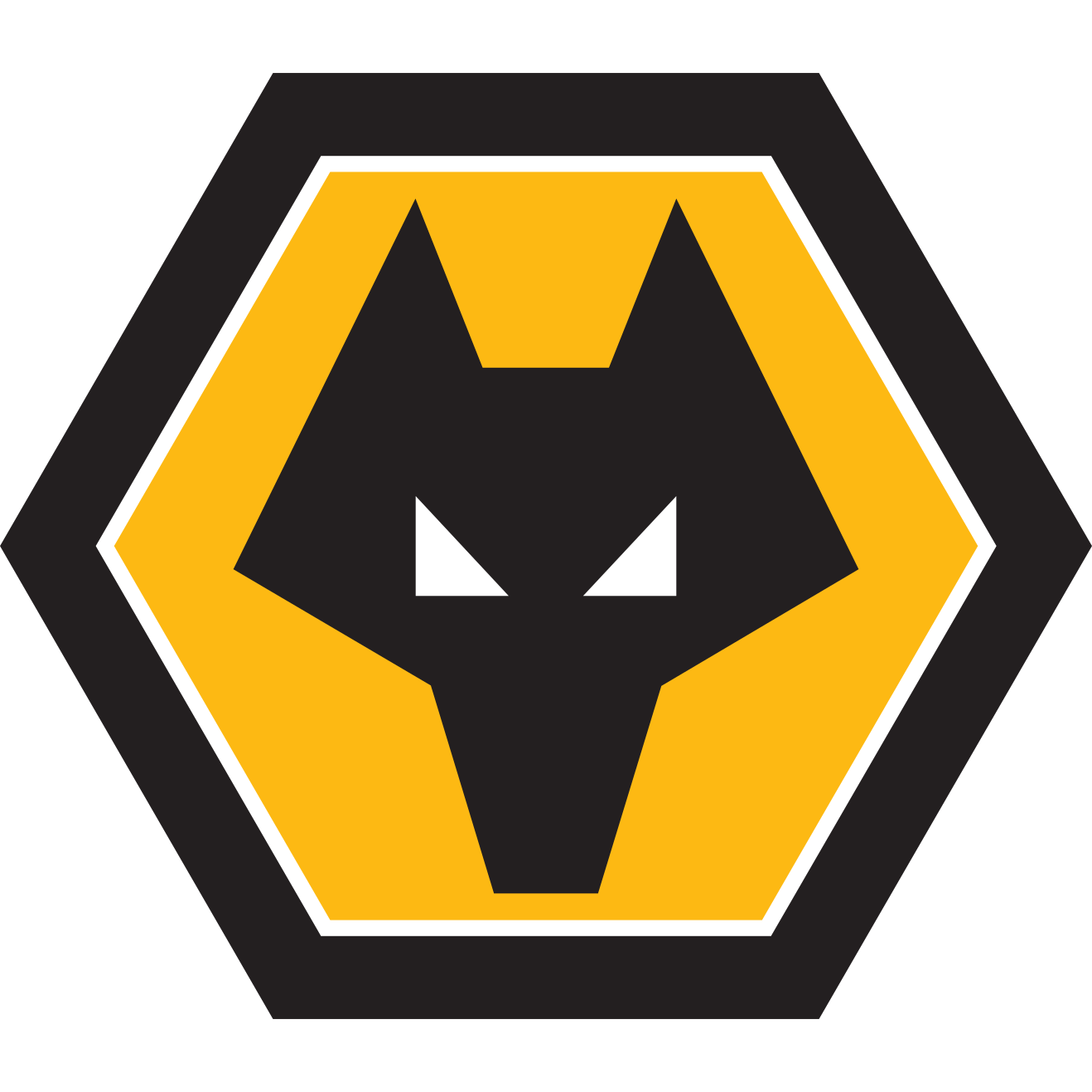 Wolverhampton Wanderers FC